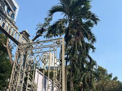 -胡志明市美术馆
