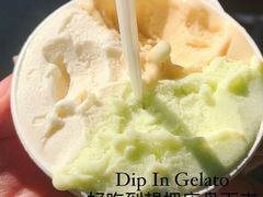-Dip in Gelato(富民路店)