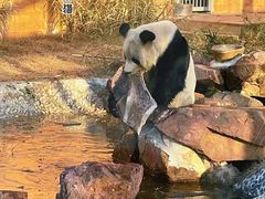 -苏州太湖国家湿地公园