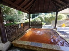 -春晖园度假酒店温泉