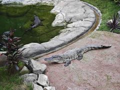 -上海野生动物园