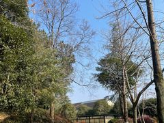 -三江森林温泉度假区