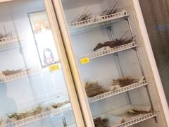-长颈鹿的口袋钵钵鸡(市南店)
