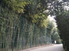 -西安市长乐公园