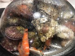 -前王院•巧克力海鲜市集餐厅(万平口店)