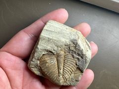 -房山世界地质公园博物馆