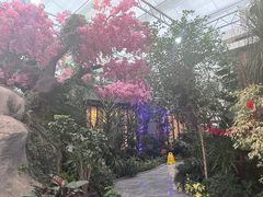 -滕头生态酒店(奉化店)