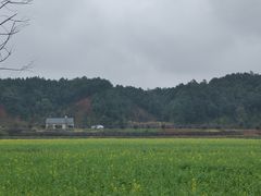 -道林古镇