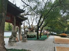 -汇龙潭