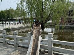 -济南大明湖景区