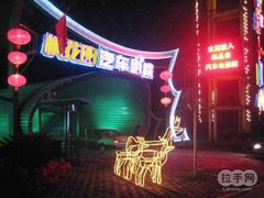 -枫花园汽车电影院(朝阳公园店)