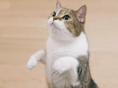 -考拉拉音乐酒吧