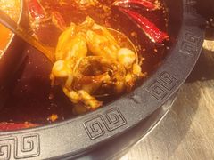 -销魂美蛙鱼头火锅(上海首店)