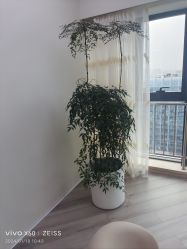 -HEYAN荷妍专业脱毛连锁机构