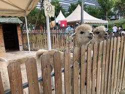 -萌宠亲子动物乐园(槐房万达店)