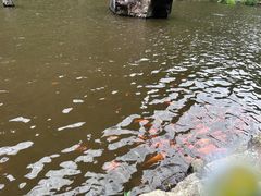 -刘伯温故里景区百丈漈