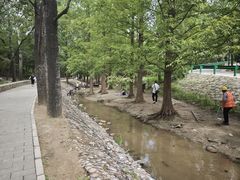 -白水寺森林公园