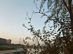 -东湖公园