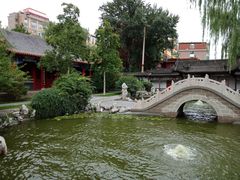 -碑林公园