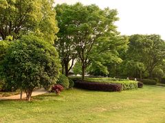 -北外滩滨江绿地