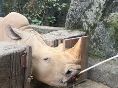 -杭州野生动物世界