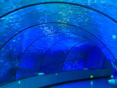 -泉城欧乐堡海洋极地世界