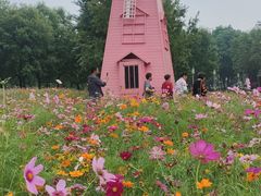 -顺峰山公园