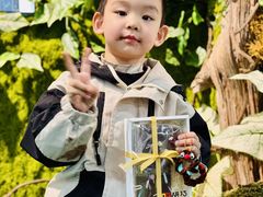 -蕃茄田艺术•美术绘画 •硬笔书法(滨江海威领界店)