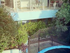 -汪说喵讲宠物乐园宠物酒店(红星美凯龙店)