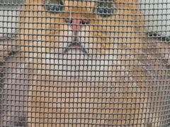 -申普宠物医院·眼科·心内科·影像科(普陀分院)