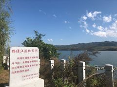 -河口景区