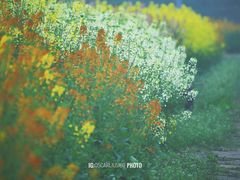 -中国天府农业博览园