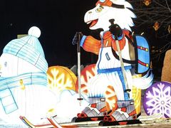 -沈阳奥体冰雪嘉年华