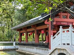 -广东花都湖国家湿地公园