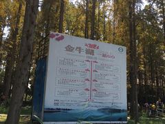 -南京金牛湖风景区