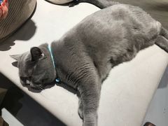 -小时光咖啡馆(开森度假森林店)