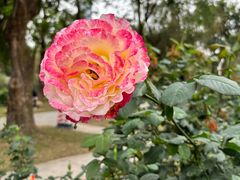 -人民公园(罗湖区)