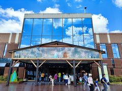 -黄海国家森林公园