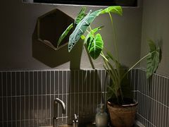 -青桃餐厅