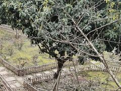 -玫瑰庄园·自助烧烤·烤全羊·团建拓展(龙泉山店)