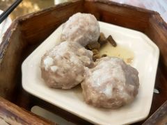 手打农家猪肉丸-中西名菜(增城店)