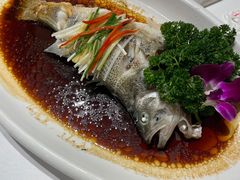 -小贝壳酒楼(经九路店)