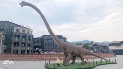 -恐龙探索乐园(磁器口店)