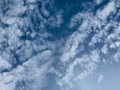 -陕西省红河谷森林公园