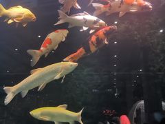 -弘安丽水温泉酒店