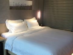 -麗枫酒店(长沙步行街南门口地铁站店)