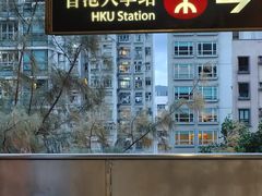 -香港大学