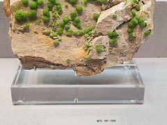 -湖南省地质博物馆