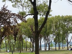 -蠡湖中央公园