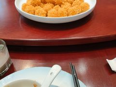-丁老爷子苏香圆